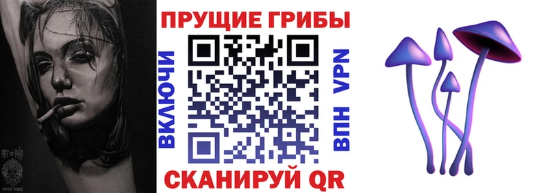 сайты даркнета формула  где купить наркоту  Сертолово  Галлюциногенные грибы ЛСД 