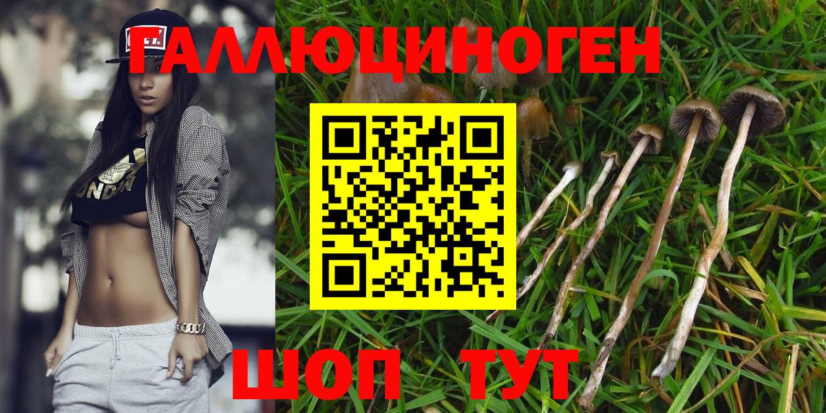 АМФЕТАМИН Сертолово
