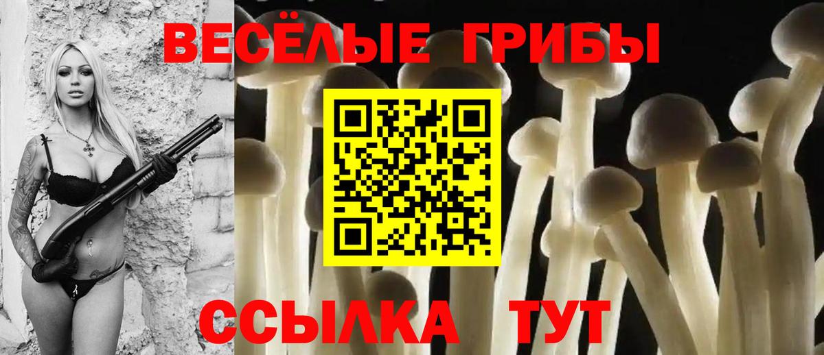 Галлюциногенные грибы мухоморы  Вход с VPN  Сертолово 