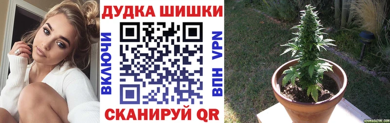 Каннабис планчик  цены наркотик  Сертолово 